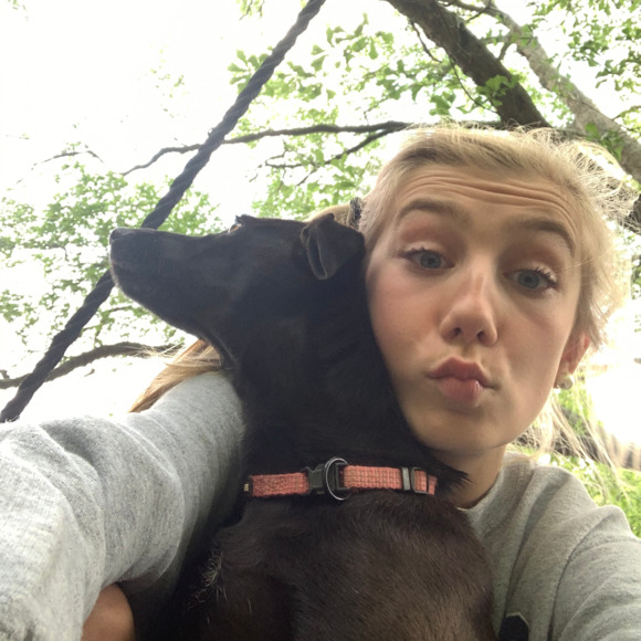 Meet your Posher, Hadley - Picture 1 of 1